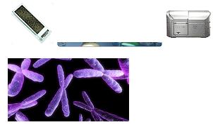 microarrays