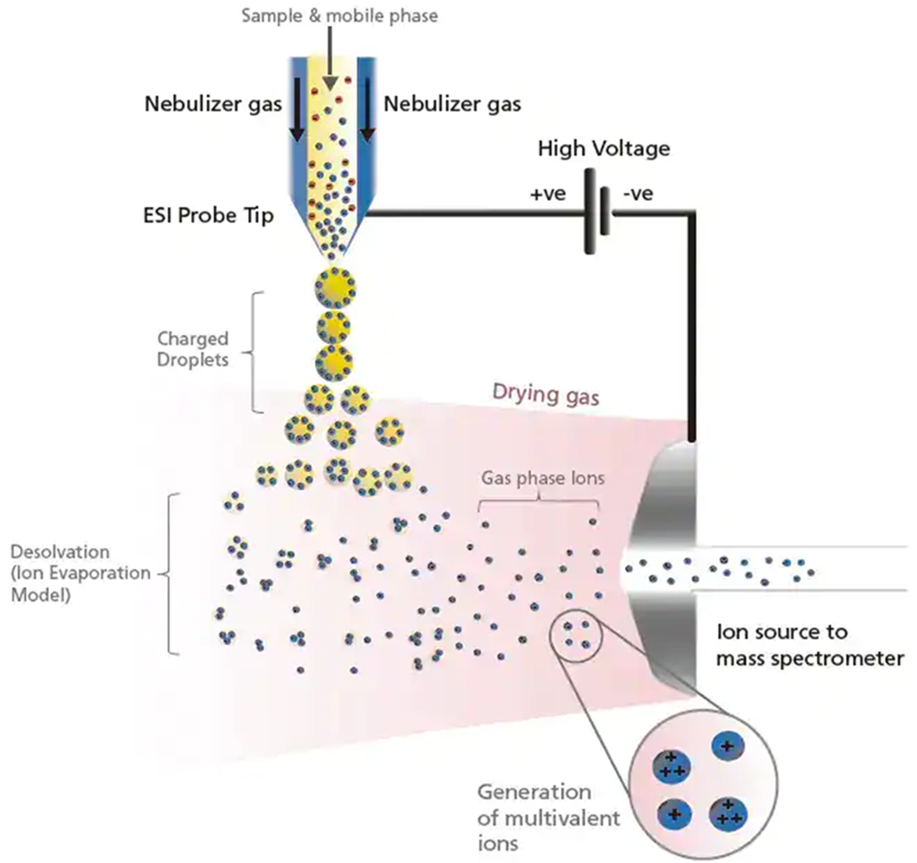 Ciclo nitrogeno espectrómetro de ion masas